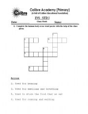 English Worksheet: My Body