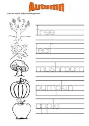 Autumn vocabulary worksheets 1