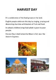 English worksheet: Festival:Harvest Day