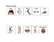 English worksheet: match the body part 