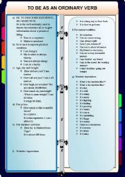 English Worksheet: to be and to have  as ordinary verbs