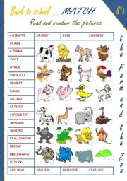 English Worksheet: Back to school: animals