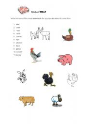 English Worksheet: Meat Picture Dictionary