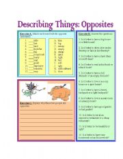 English Worksheet: Describing Things: Opposites