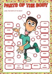 English Worksheet: PARTS OF THE BODY