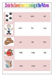English worksheet: identify correct word