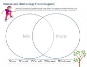 English Worksheet: Plant and Human Graphic Organizer