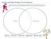 English worksheet: Plant and Human Graphic Organizer