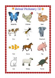 English Worksheet: Animal Pictionary 1