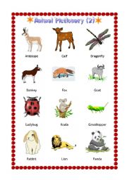 English Worksheet: Animal Pictionary 2