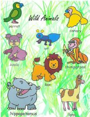 English Worksheet: Animals Pictionary 1