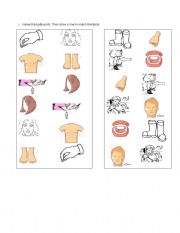 English Worksheet: Match body parts