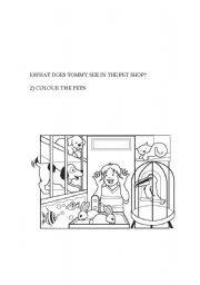 English worksheet: Pets in the shop
