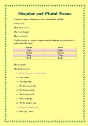 English worksheet: Singular and Plural Nouns