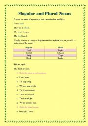 English Worksheet: Singular and Plural Nouns