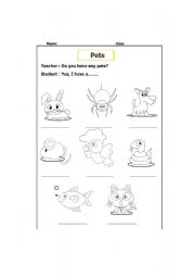English Worksheet: Pets