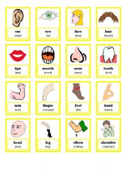 English Worksheet: Memory game - body parts (part 1)