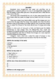 English Worksheet: Reading Text