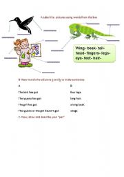 English Worksheet: parts of the body