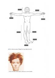 English worksheet: body and face parts
