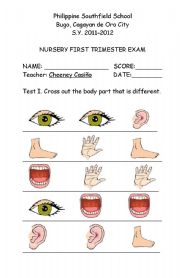 English Worksheet: part of the body