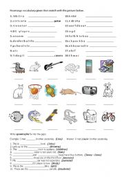 English Worksheet: Vocabulary/ Apostrophe s 