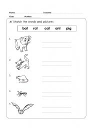 English worksheet: animal Kid