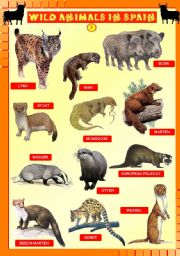 Wild animals in Spain 2/4 - UPDATED