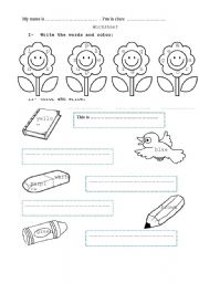 English Worksheet: color