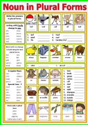 English Worksheet: Noun in Plural Forms 