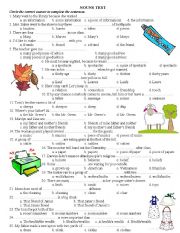 English Worksheet: NOUN TEST