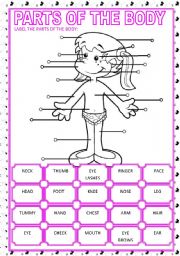 English Worksheet: PARTS OF THE BODY