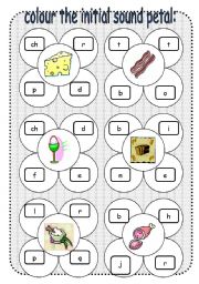 English Worksheet: colour the initial sound petal