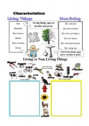 English Worksheet: LIVING things VS NON LIVING things