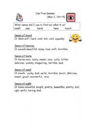 English Worksheet: Our Five Senses