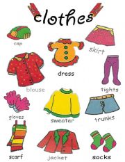 English Worksheet: clothes pictionary 2/2