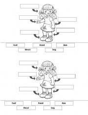 English Worksheet: Body parts