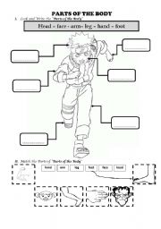 English Worksheet: PARTS OF THE BODY WORKSHEET