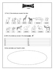 English worksheet: animals video