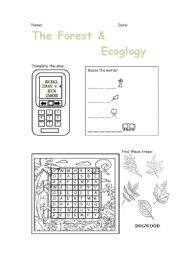 English worksheet: Forest and trees