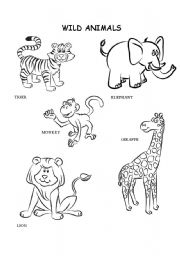 Wild animals coloring