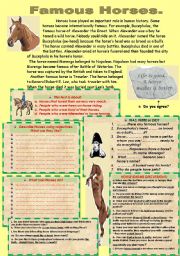 English Worksheet: READING-COMPREHENSION, IDIOMS ABOUT HORSES.