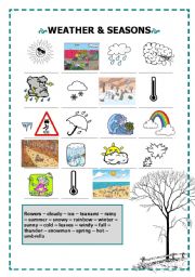 English Worksheet: Weather and seasons