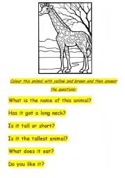 English worksheet: Giraffe
