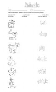 English Worksheet: ANIMALS OLD MC DONALD