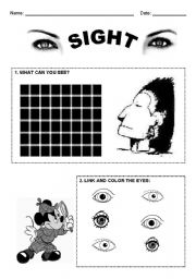 English Worksheet: Sight - Five Senses