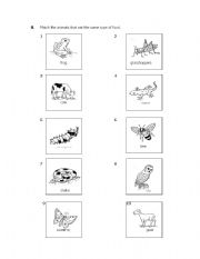 English worksheet: animals