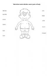 English Worksheet: parts of body