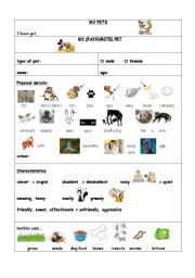 English Worksheet: MY PET(S)