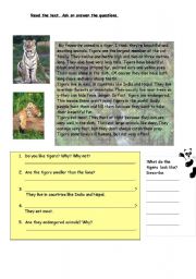 English Worksheet: nature - countable and uncountable words